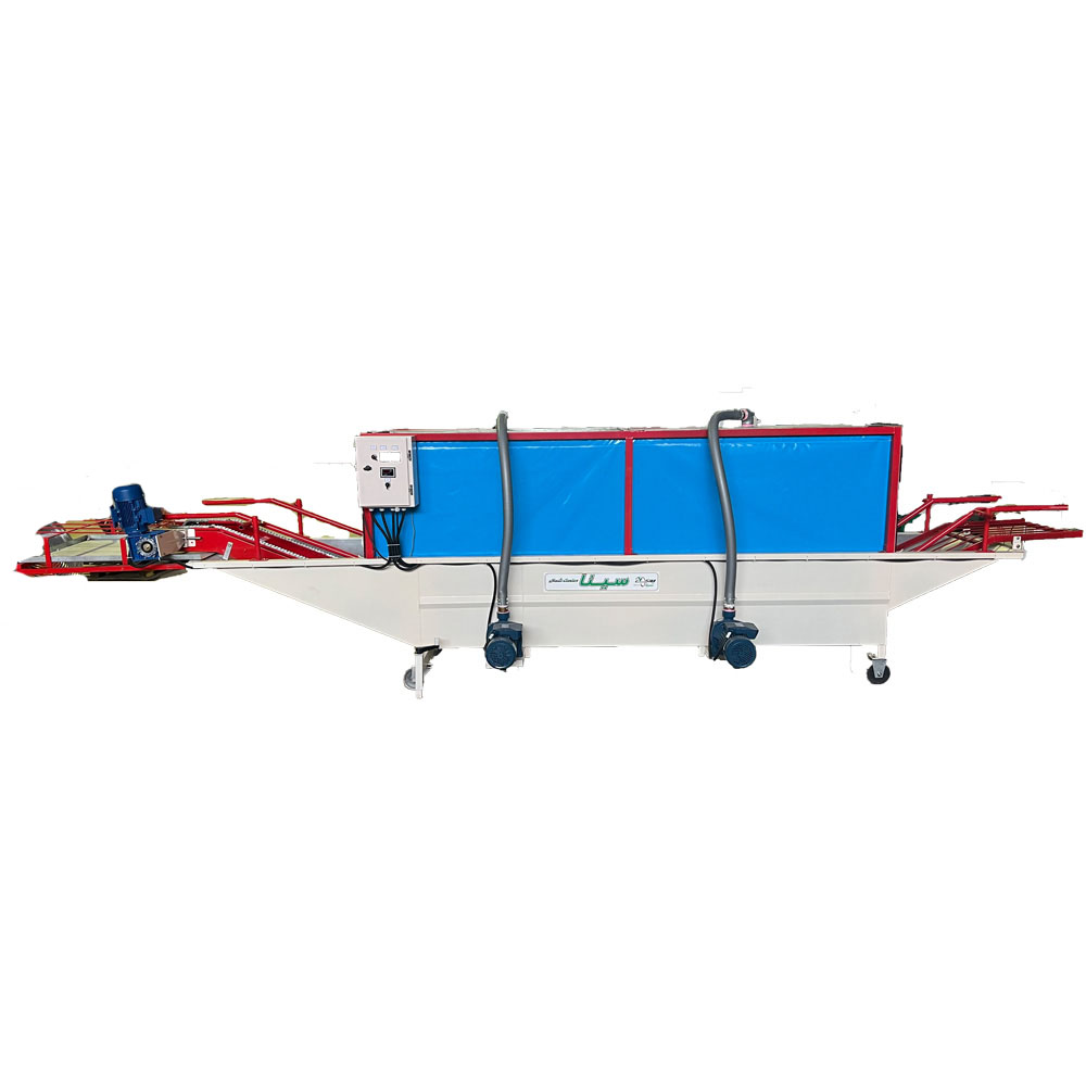 Fruit Disinfecting Machine(moving box drencher) 